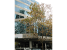 Serviced office space to rent in Sydney - Mount Street, North Sydney