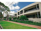 Serviced office space to rent in Sydney - Tryon Road, Lindfield
