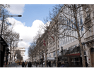 Location of Avenue des Champs Élysées