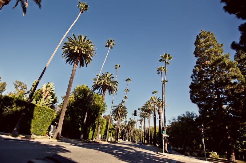 Local Spotlight: The Benefits of a Virtual Office in Beverly Hills, California